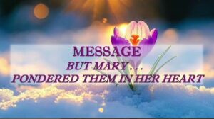 Mary Pondered