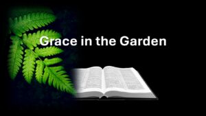 Grace in the Garden